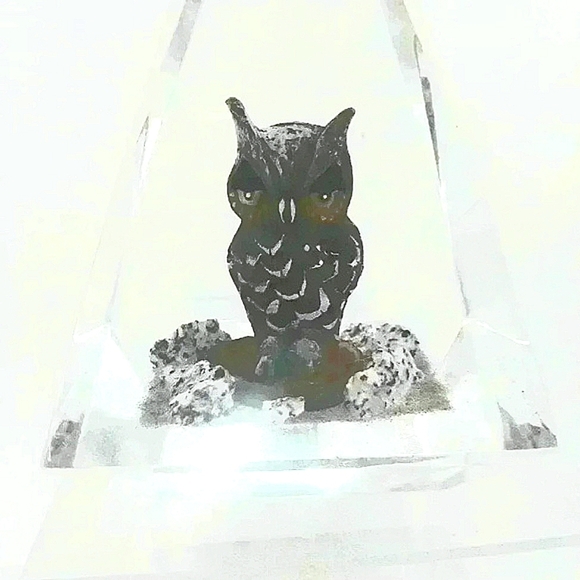 Vintage Hand Carved Owl encased in Pyramid Geometric Lucite. - Picture 1 of 5